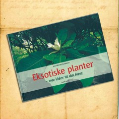 Eksotiske planter - der tåler frost.